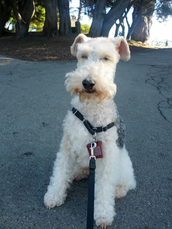 wirefox's tweet photo. http://t.co/uX2zuOcTZW
