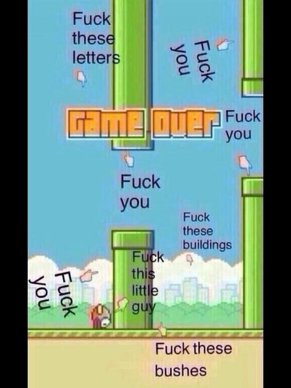 carsonjacques2's tweet image. Lol oh my god flappy bird is getting me mad so I look at this picture