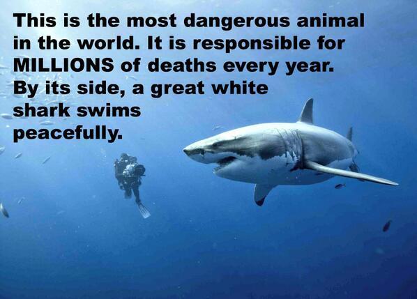 Fact's tweet photo. http://t.co/EkkRoRVpSK