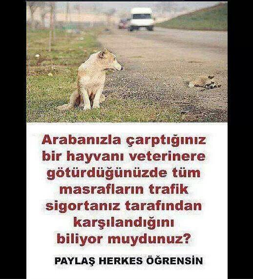 "@arzuyldzz <a href="/bekrcoskn/">Bekir Coskun</a>  Herkes bilmeli "