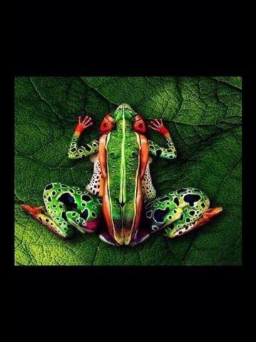 BryanWMitchell's tweet image. Five ladies, not a frog.