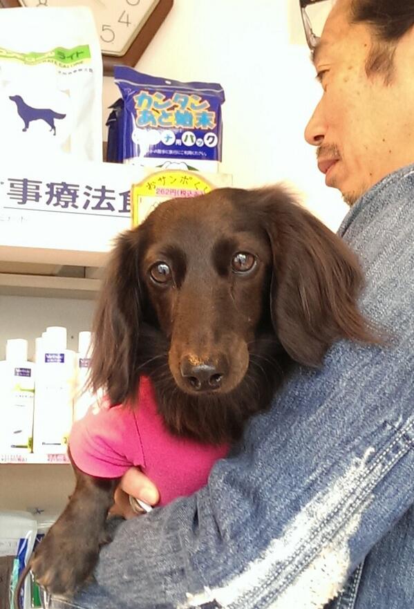 creamachs's tweet photo. 定期検診なう http://t.co/TW3JR0s6So