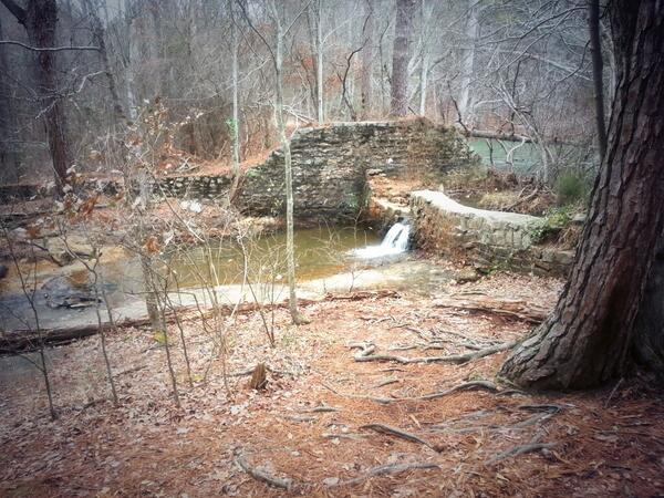 ShanikaJourney's tweet image. #ThinkingSpot .... enjoying now and looking forward to the month ahead. What's going on in your world?