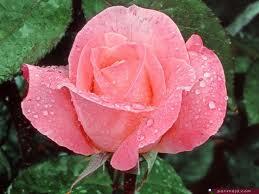 magdi459's tweet photo. @MalibuBarbiiie http://t.co/1o6ybXL6Wu