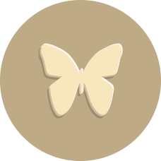 dazedbydays's tweet photo. I'm working towards completing the Social Butterfly bonus using @IbottaApp. http://t.co/NKYglTL9Cu