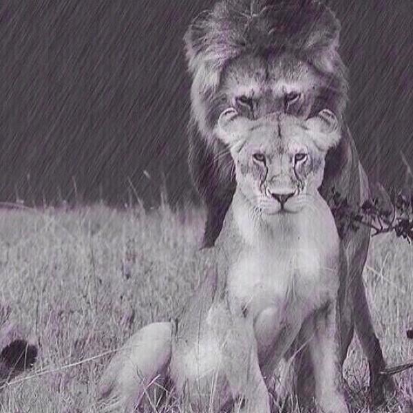 scump's tweet image. I be watchin' over my girl like... hahahahah