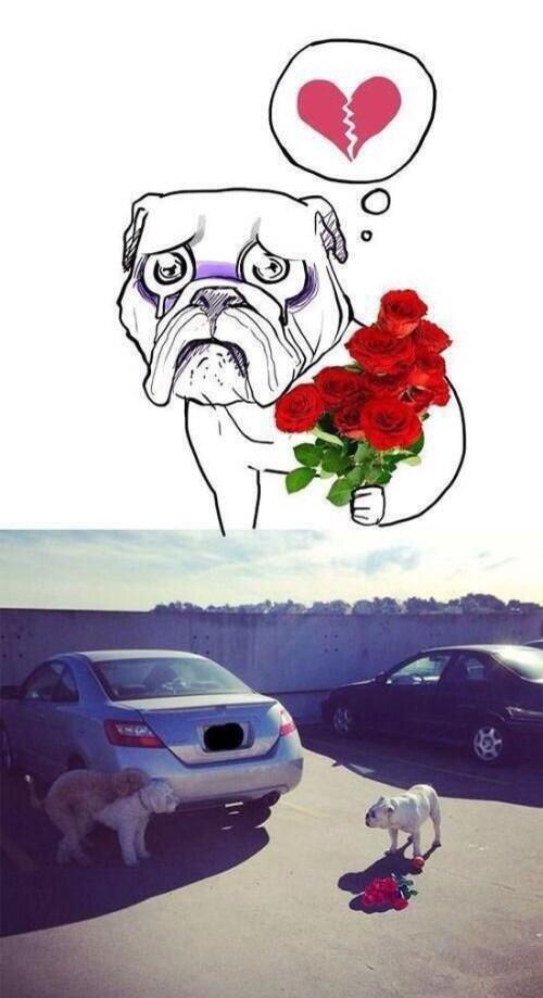 CauseWereGuys's tweet photo. Bitches man... http://t.co/93dJyfJGXr