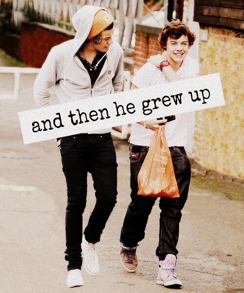 LNOdirectioner tweet picture