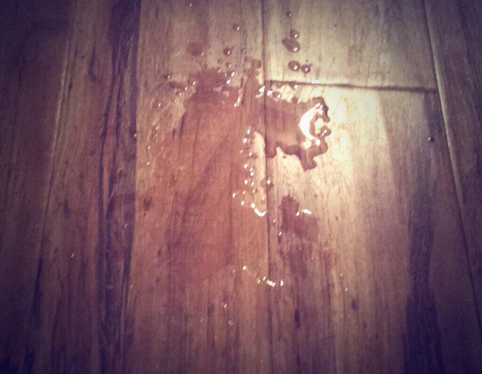 You don't know how much of an accomplishment this is for a porn star #Accomplishments #iSquirt #Ecstatic<a href="/tag/ecstatic"class="tags"><span>#ecstatic</span></a><a href="/tag/accomplishments"class="tags"><span>#accomplishments</span></a><a href="/tag/isquirt"class="tags"><span>#isquirt</span></a>