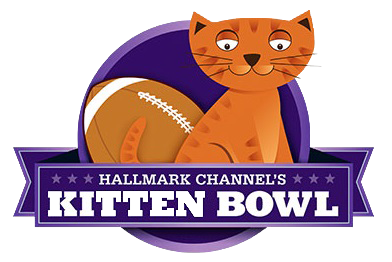 GroovyGravyPets's tweet photo. And for our feline fans... the Kitten Bowl! Enter our Kitten Bowl contest today. https://t.co/iSgKDfaKlD http://t.co/tnZPtJf17R