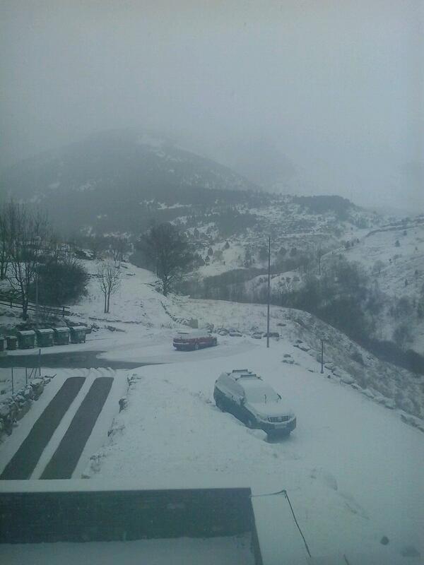 Quebrantalex's tweet photo. En la nieve (boy-taull) http://t.co/z48KdnX5C7