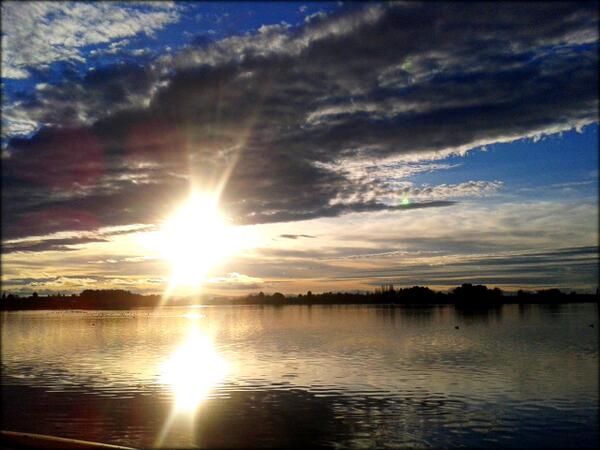 Teresa7go's tweet photo. Tener esto en medio de la Mancha vale un tesoro!Qué bonitas están siempre!! http://t.co/SFbEiqcVVI
