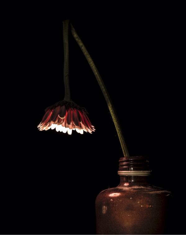 Bron: Iwan Bronkhorst