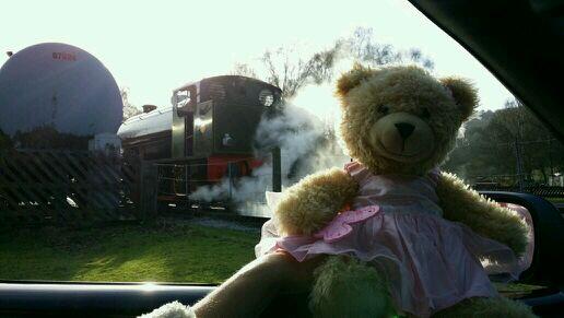berthalebear7's tweet photo. Just watching the steam trains near Matlock. http://t.co/ms8V10rwsy