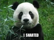 FantanaBrian's tweet photo. PANDA JERK! http://t.co/T8I56h4Cr8