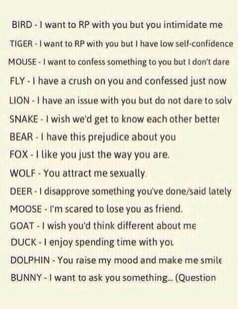 Give me a animal(s)?