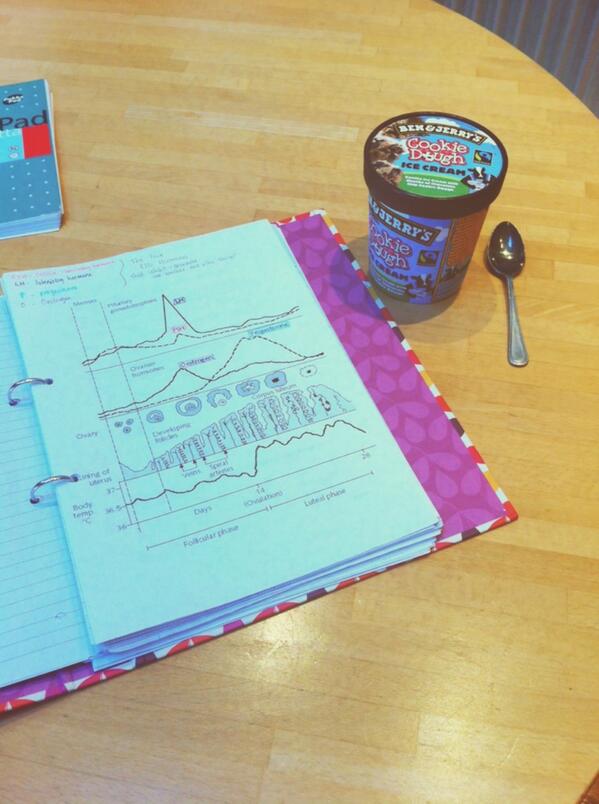 fikawithkitty's tweet image. A guide to revising the menstrual cycle: ice cream #biologystudentproblems