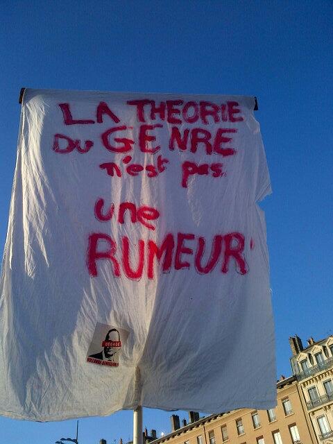 Samuel_Lafont's tweet photo. La théorie du #genre n'est pas une rumeur #ManifPourTous #Europe4Family #2fev #2fevLyon #2fevBellecour http://t.co/6H5DoYlmMp