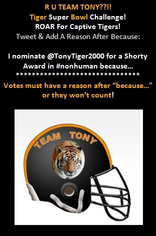 FreeTonyTiger's tweet photo. #GoBroncos? #GoSeahawks? #GoTeamTony!! ROAR 4 Captive #Tigers Vote 4 @TonyTiger2000 ~ http://t.co/RXSDJsyWqX or see: http://t.co/R8T6kJFAuL
