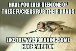 TotalTrue's tweet image. Yes , yes I have