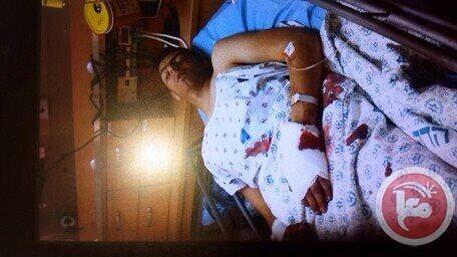 fadia_eng's tweet photo. Israel released dogs toward #joher young Palestinian n shoot him 4 bullets in his hands & legs then dey arrested him http://t.co/xhElkg3Qvk