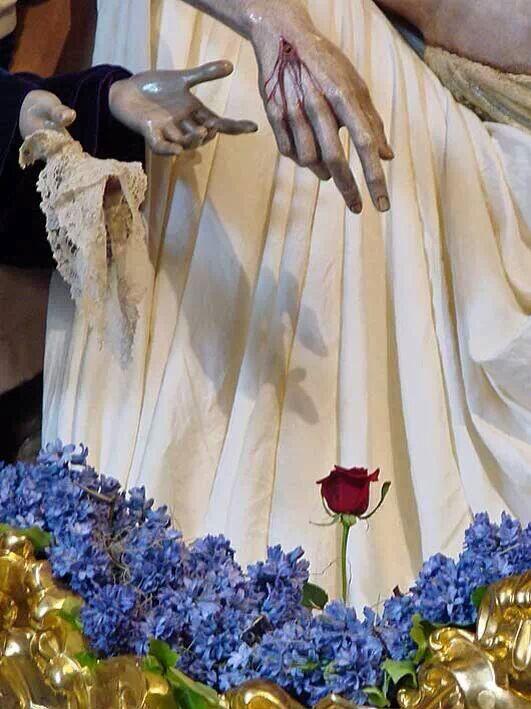 casadelcofrade's tweet photo. Cuéntame la historia de esta rosa... http://t.co/gEn0FtQGpe