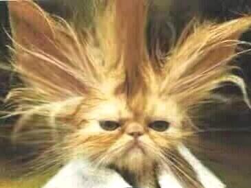 Indian Head Massage? Go to louisejohnson.co.uk. Go on pamper yourself.