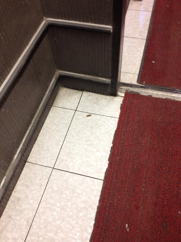 jimneff2's tweet photo. @nyc311 roaches at Key Food on 31st street in Astoria. http://t.co/rZxVTNbMku