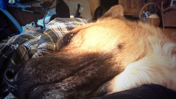 ImNKOTB1D4ever's tweet image. He still feels he's #notcloseenough!#spoiled #momgetoffyourphone @iansomerhalder