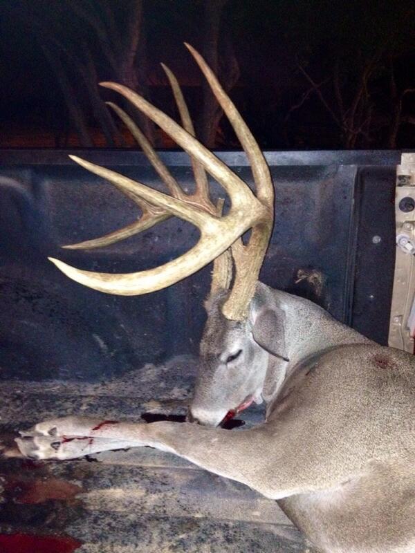 Jordan_Shipley's tweet photo. “@bucksoftecomate: Hardy's deer netted 203. One of the biggest typicals taken in texas or the world for that matter! http://t.co/5nifkyKQnu