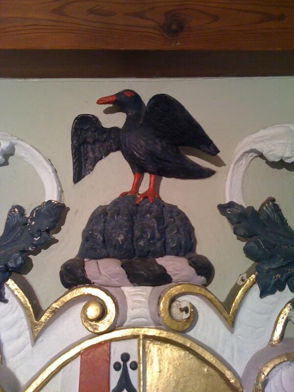 SBlandfo's tweet image. That's it for #crowtalkhour for now - but there's always time for spontaneous #crowtalk between times too!