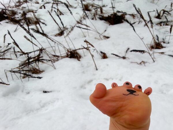 FriendsofStub's tweet image. groundhog stub (didn't see shadow) #GroundhogDay #springiscoming