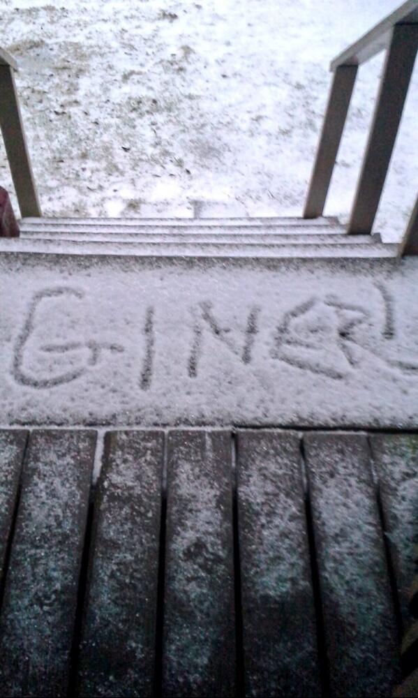 ashp101383's tweet photo. This is what happens when we get snow in the south. We don't know how to act ;) @Ralphie_May @HotAppleKara http://t.co/Br5VFe1va8