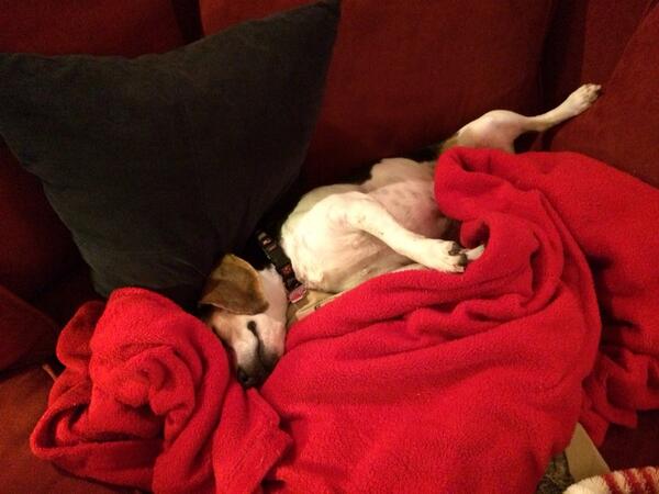 Love Super Bowl Sunday!