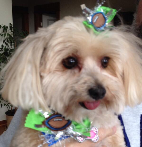 PerfectPartyPB's tweet image. BOOM!