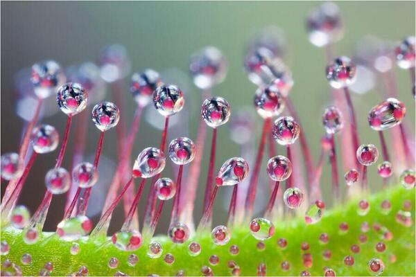 ybh4618 tweet picture