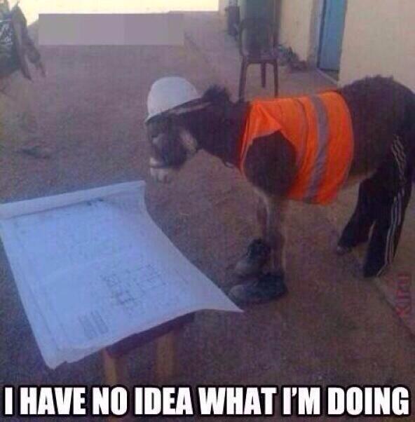 Broncos coaching staff right now