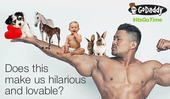 GoDaddy tweet picture