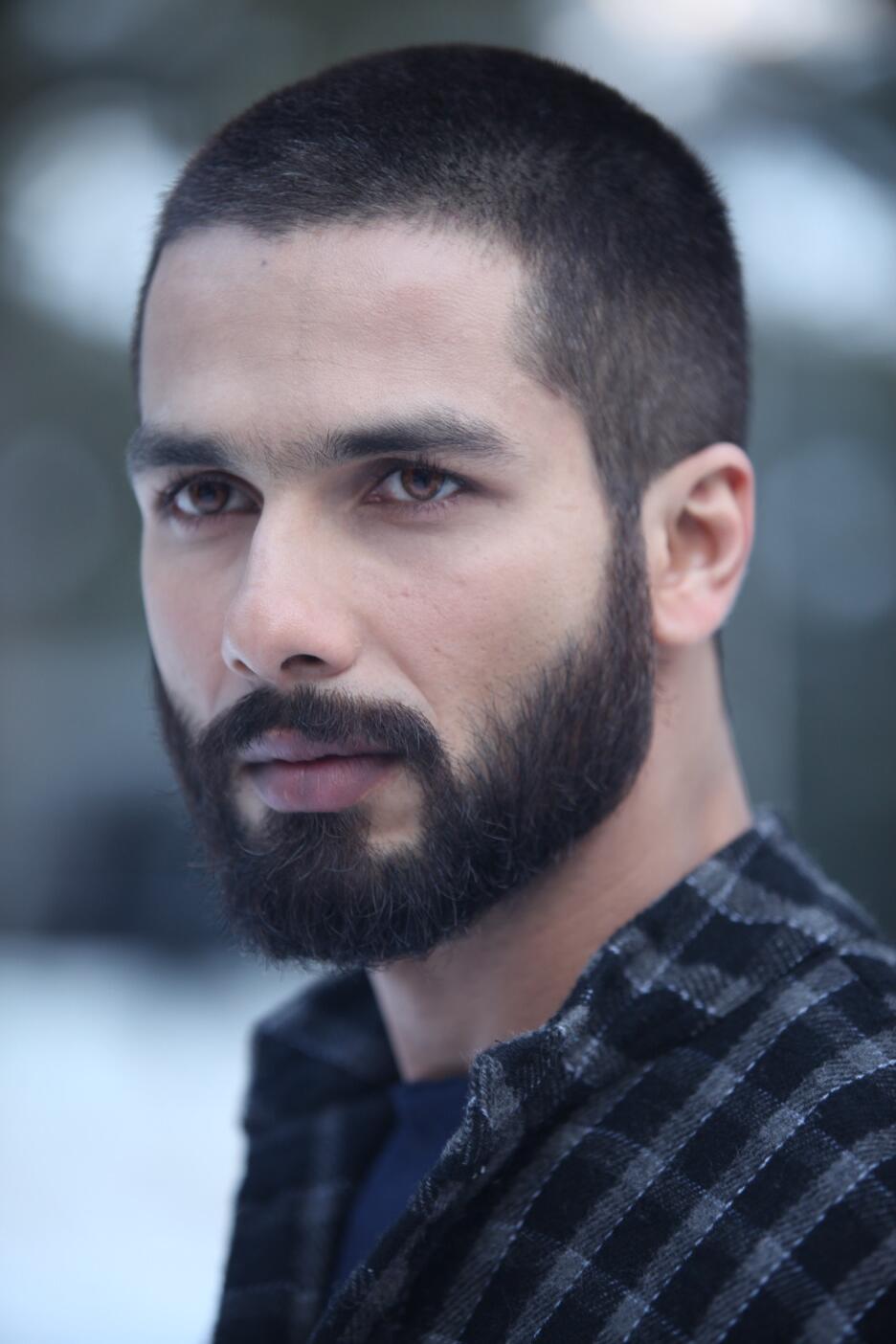 Shahid Kapoor | Shahid kapoor, Bollywood actors, Actors