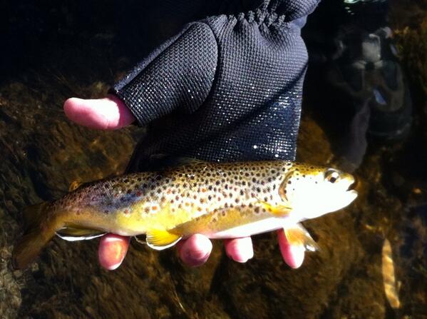 urbanflyy's tweet photo. Day 1 @bishop CA. http://t.co/UVjN3B5n1d