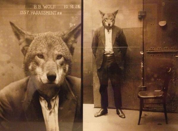 BB Wolf; about to grace walls of newly re furbed & newly named Hair Pod for Men. #modernbarber #worcester #gentsHair