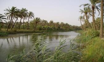 Brightiraq's tweet photo. Abu Al-Khaseeb is a palm eden 26km south of #Basra on Shat Al-Arab. Home of poet Badr Shakir Al-Sayyab http://t.co/Fc2MAdQkIj