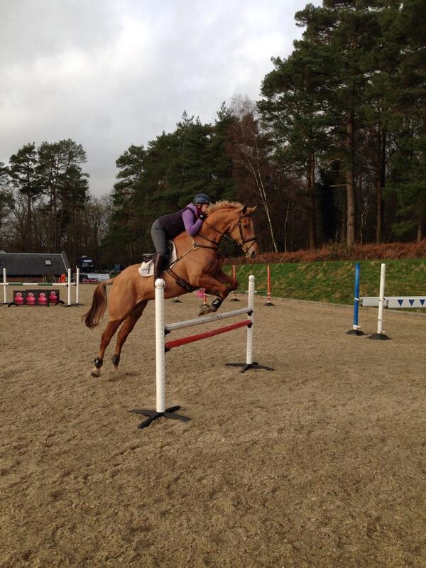 FrostLod's tweet image. First little jump session for a very sprightly Briarlands Birdsong this morning! #happypony @bridgetlyne