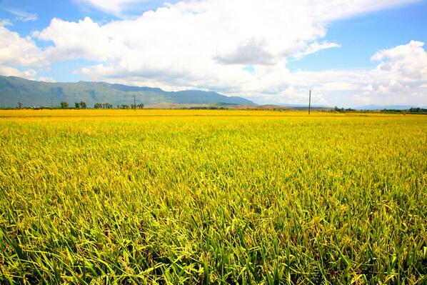 tattoolocker's tweet image. Take a few minutes to appreciate what you have and how far you've come.