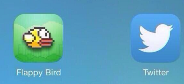 DummeWitze's tweet photo. Diese zwei Vögel ruinieren gerade mein Leben http://t.co/7RBdJmKl88