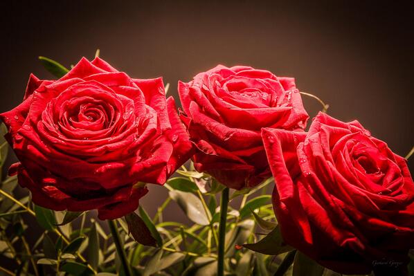 kitzbuehelcc's tweet photo. Valentinstag-Menü im KCC, am 14.02.2014
Sagen Sie "Danke" zu Ihren Liebsten. http://t.co/CNyMCqRGdr