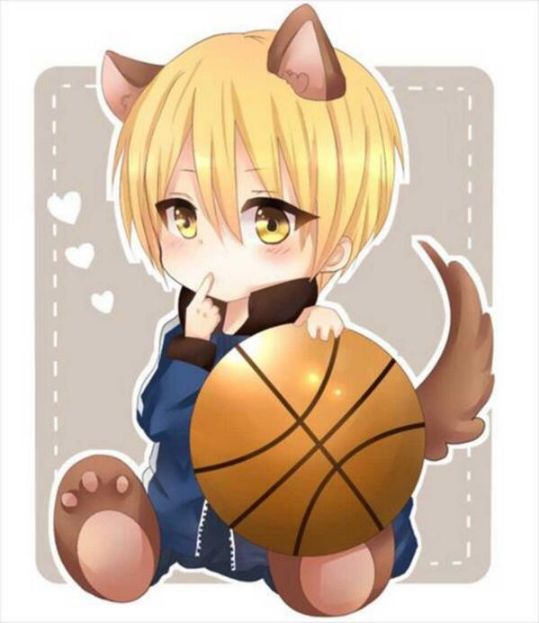 تويتر 黒子のバスケかわいい画像 名台詞 على تويتر 黄瀬涼太ネコ化 Http T Co Nufqwvoprk