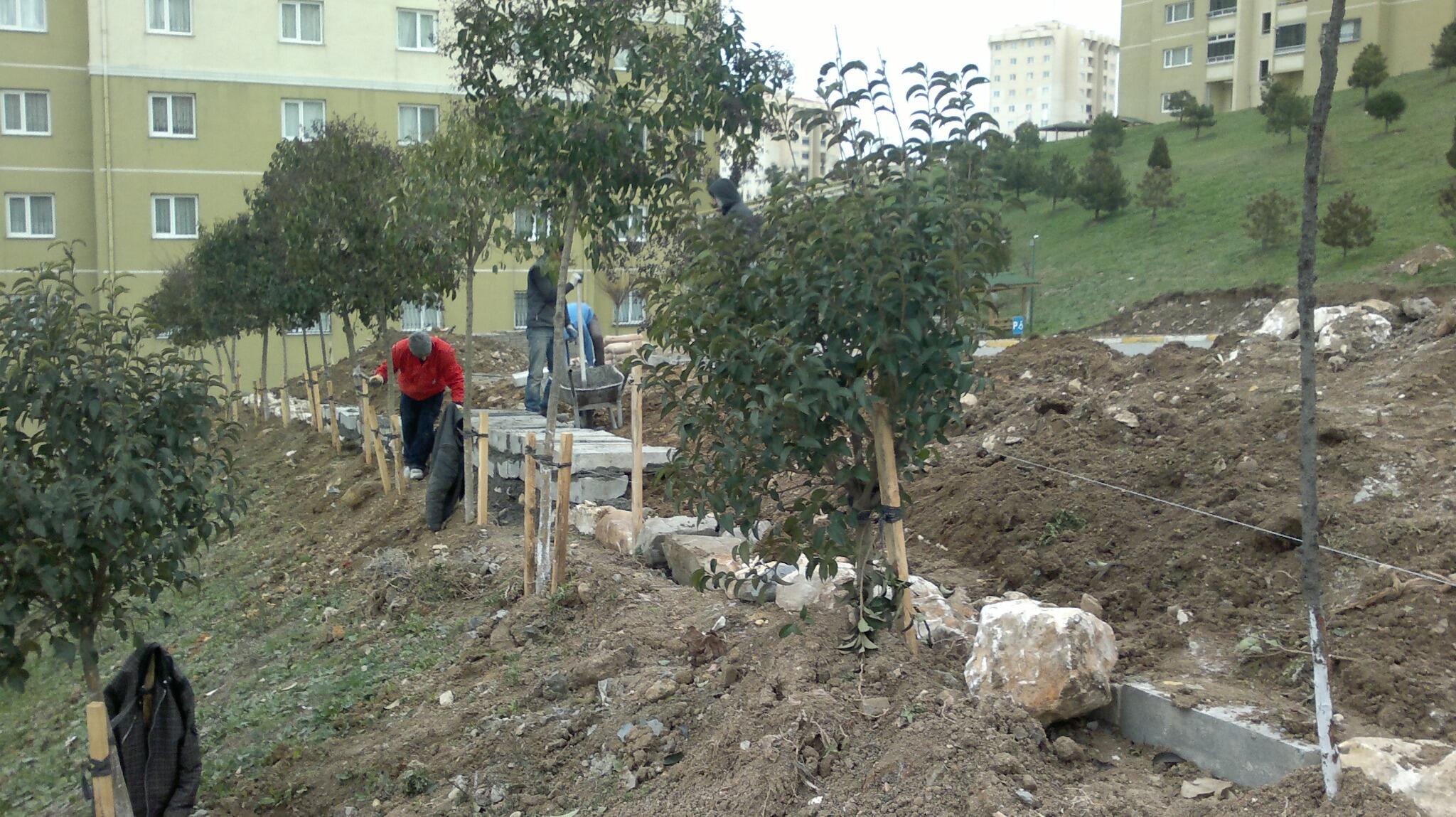 toki manolya evleri tokmanolyaevler twitter