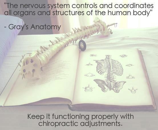 ChiroDuke's tweet image. #chiropractic #health #wellness