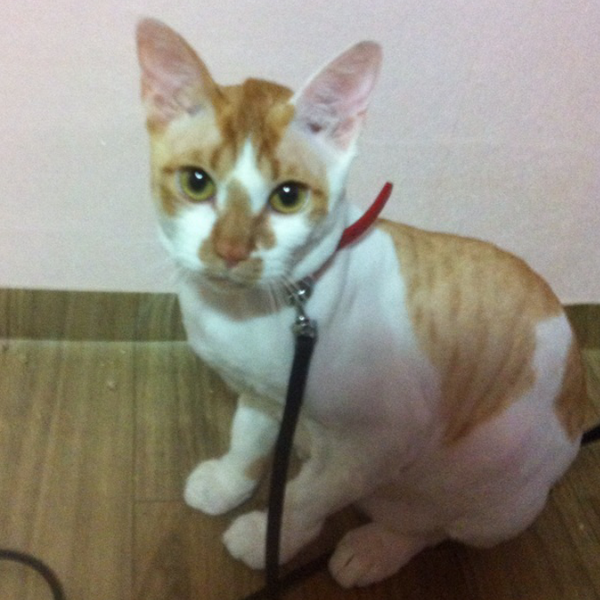 so04252 tweet picture